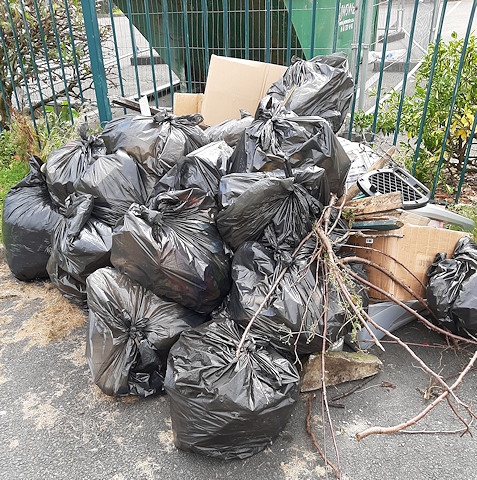 All the litter collected into rubbish bags