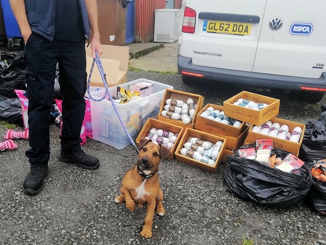 Webbox has donated pet food to Rochdale RSPCA