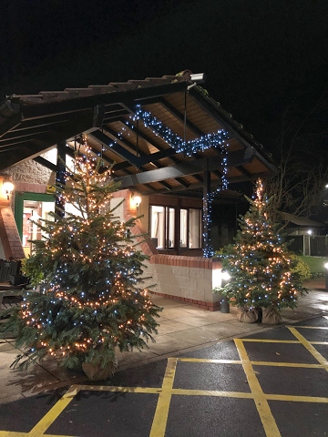 Light up a Life trees outside Springhill Hospice