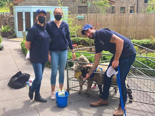 Emma Jackson brought her Sheep Therapy business to Barley View care home