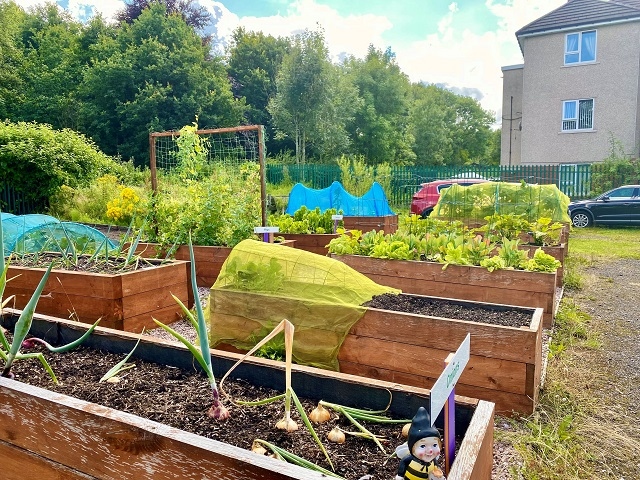 With several raised beds for ease of access, traditional growing beds, poly-tunnels, a greenhouse, a fruit orchard area, wild and cultivated flowers and a large herb garden, HMR Circle, as well as other groups and individuals, will be able to grow whatever they desire