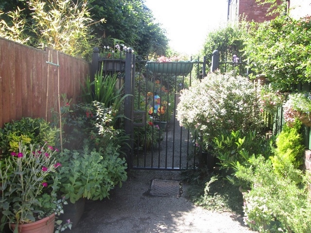 Alleygates in full bloom at Edenfield Rd