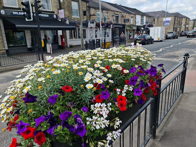 Norden In Bloom