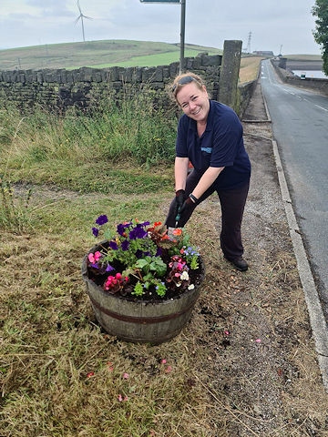 Norden In Bloom