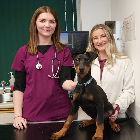 Hannah Darke, one of the veterinary team at Armac Vets who cared for Blue, during a follow-up check-up, with his owner Danielle Hargreaves, right.