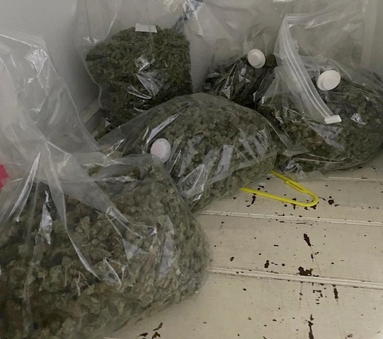 Around £200,000 worth of cannabis was seized