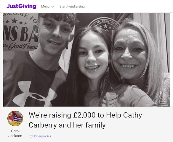 The JustGiving fundraising page