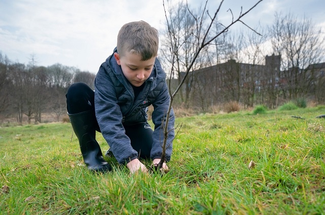 Alfie Connally, St Luke's, plants a tree with care