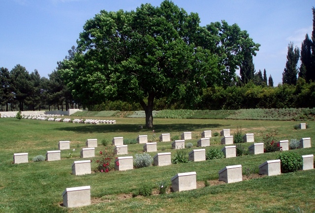 Standing proud in the Redoubt Cemetery, the Gallipoli oak is visited regularly by battlefield tourists and plays a vital job in helping to keep the sacrifices of the fallen local men alive