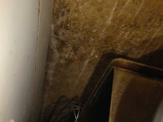 Mould and damp at the Delamere Road house