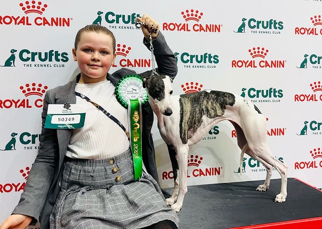 Darcie and Domino placed fourth in their first-ever Crufts Dog Show