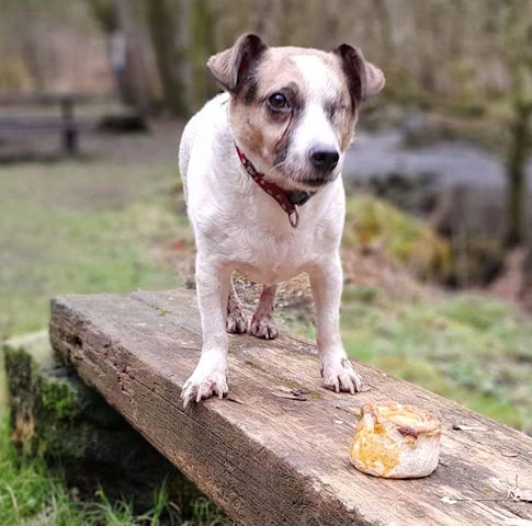 Finley, who has now retired from fundraising