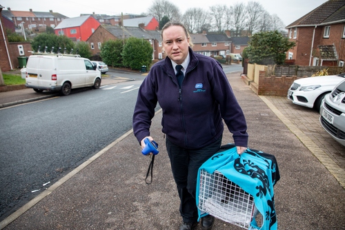 Avon and Somerset ARO Clara Scully collecting a stray cat from a house