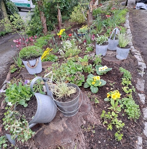 The garden in full bloom