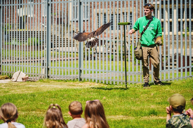 Hopwood Hall Community Fun Day