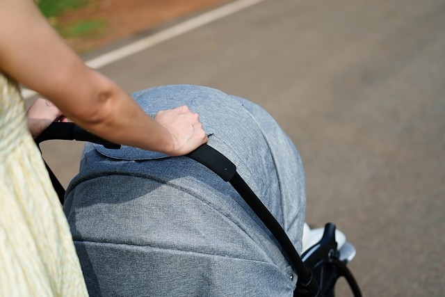 Mother pushing pram and walking in park