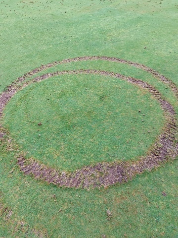 Damage caused to the bowling green at Queen's Park, Heywood