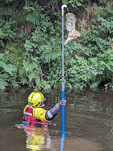 Inspector Deborah Beats entered the water wearing a dry suit to try and rescue the owl, which was successfully captured using a special extending pole