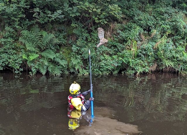 Inspector Deborah Beats entered the water wearing a dry suit to try and rescue the owl, which was successfully captured using a special extending pole