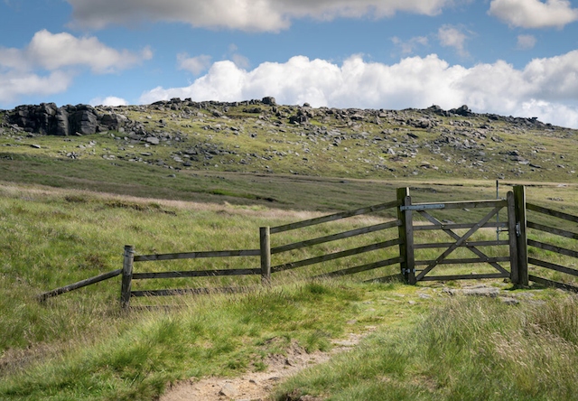 The GMCA wants to ensure new homes and businesses closest to the South Pennine Moors have the right safeguards in place to avoid harm to these important habitats