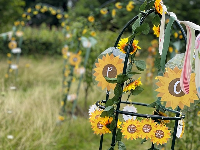 Springhill Hospice Sunflower Appeal