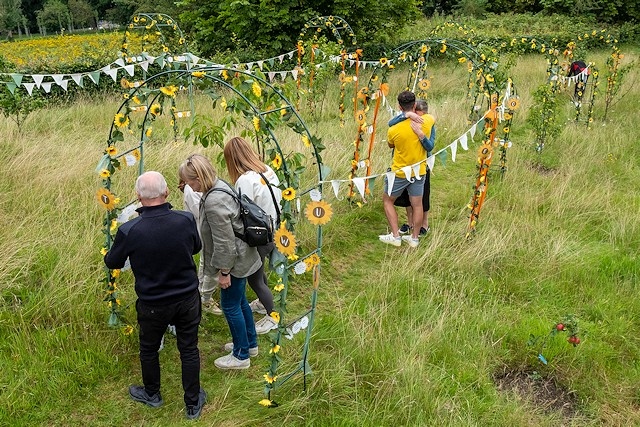Springhill Hospice Sunflower Appeal