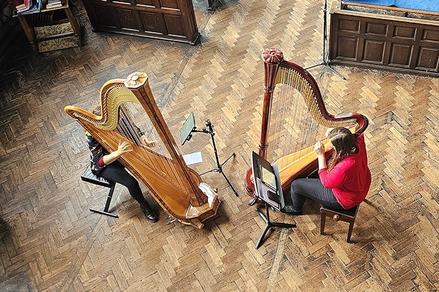 Rascallity Harp Duo