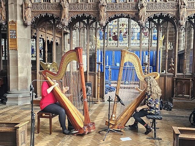 Rascallity Harp Duo