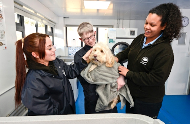 Hopwood Hall College gains VetSkill centre status 