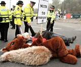 Mrs Sanchez thumb-cuffed to a seven foot red squirrel, bearing a placard saying 'Nuts to Trident'! 