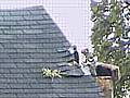 Roof damaged by stormy weather