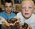 Little Heaton pupils get to grips with a pair of slimy giant African land snails