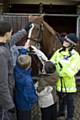 Children stroke the Police horse at the mounted and dogs unit in Chorlton-cum-Hardy, Manchester