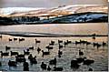 Hollingworth Lake