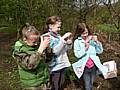 Members of the Young Explorers Club examining insects they have found on a bug hunt.