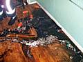 A large amount of cigarettes left on the timber laminate floor in the first floor lounge