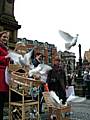 Doves released at the Action Mesothelioma Day event in Manchester.