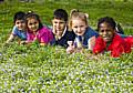 Blooming great: Children enjoy the flowers