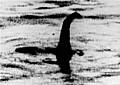 Swimmers will be searching for the Loch Ness Monster this weekend.