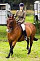 Rochdale & District Riding Club