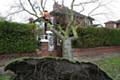 The tree smashed into Mrs Bull's home on Crompton Avenue, Rochdale, photo taken by neighbour Peter Fitchett