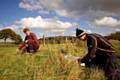 Graduate volunteers Daniel Jessop (21, left) and Robert Birtwell (21, right) surveying at Lower Dunishbooth in Rochdale