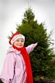 Rochdale Council is encouraging residents to recycle their Christmas trees.