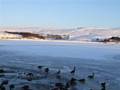 Hollingworth Lake iced over with snow