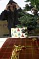 Don’t leave presents wrapped up under the tree and visible from your windows, warm police