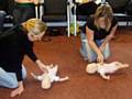 Parents turn their knowledge into practice on dolls