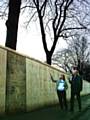 Residents point out the eight foot board fencing recently erected enclosing the line of trees on Bridgefold Road