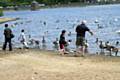 Families feeding the ducks at Hollingworth Lake