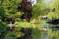 Iconic image of Monet’s garden taken by Colin Ellison