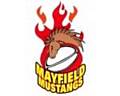 Mayfield Mustangs logo